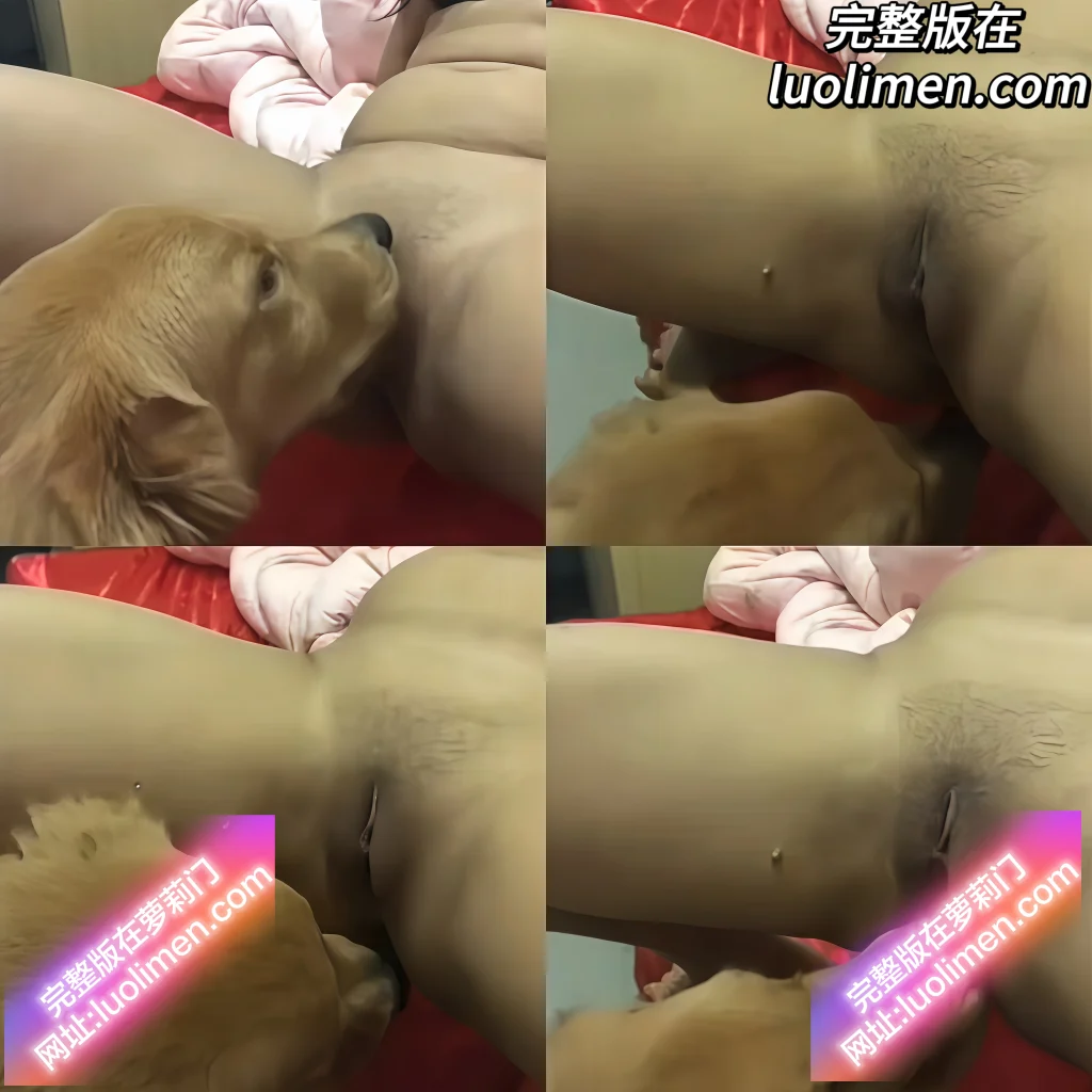 人兽大战 - 人兽交配主人张开大腿爱犬舌舔嫩穴享受资源-网红合集