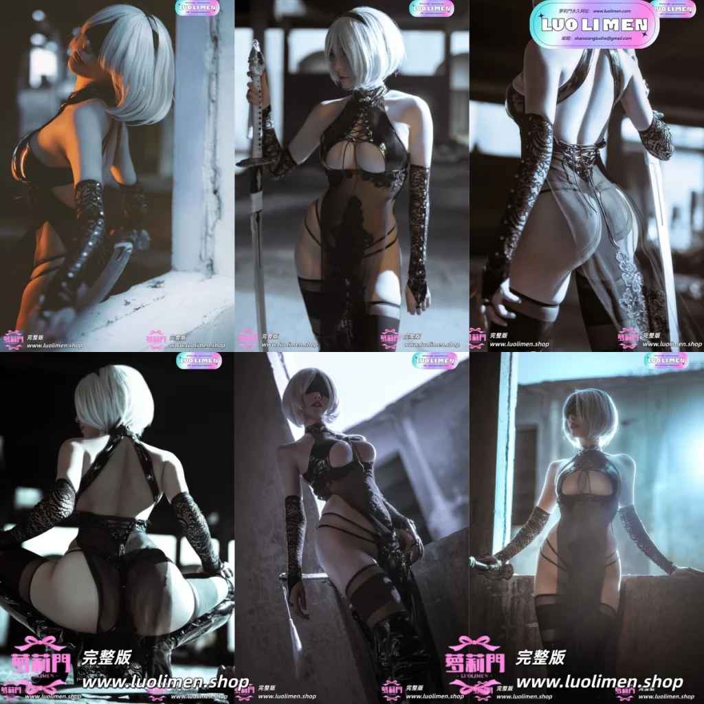 秋和柯基 - NO.04 2B旗袍同人 [25P-362MB]-网红合集